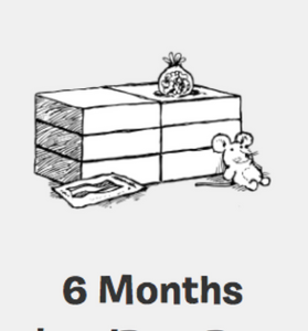 6 Month Advanced Live Training image 0