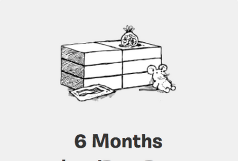 6 Month Advanced Live Training image 0