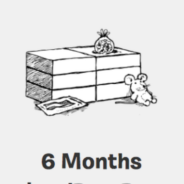 6 Month Essential Live Training image 0