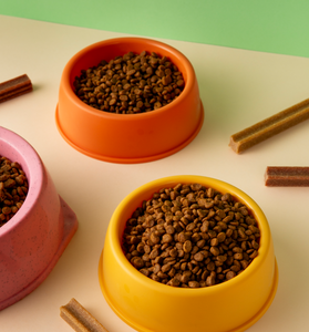 Pet-accessories image 0