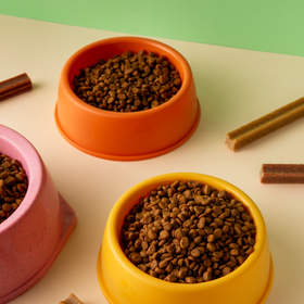 Pet-accessories image 0