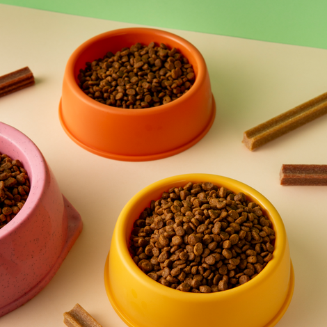 Pet-accessories image 0