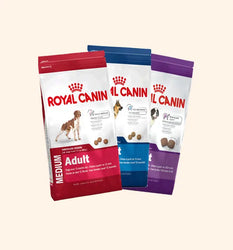 For Dogs