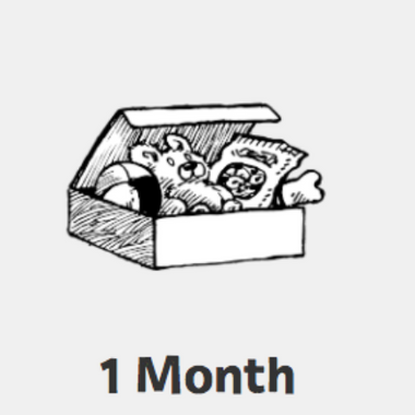 1 Month Essential Live Training image 0