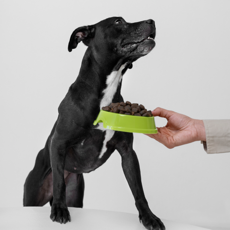 Pet Brush Plate image 0
