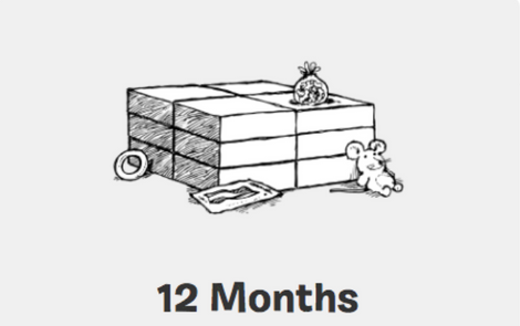12 Month Advanced Live Training image 0